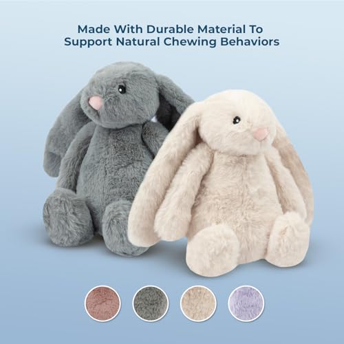 Interactive Squeaky Dog Toy for Active Chewers