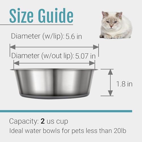 PEGYY11 Nonslip Stainless Steel Dog Cat Bowls, 2 Count