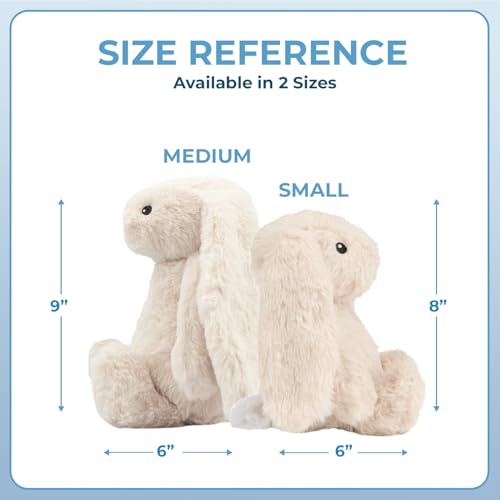 Interactive Squeaky Dog Toy for Active Chewers