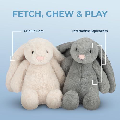 Interactive Squeaky Dog Toy for Active Chewers