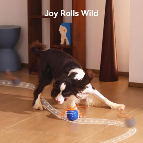 Smart Interactive Rolling Dog Ball Toy