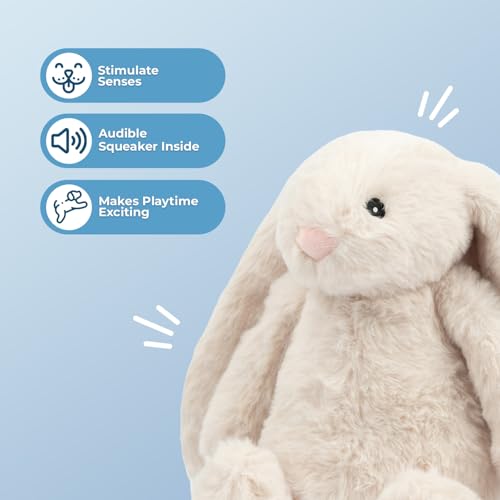 Interactive Squeaky Dog Toy for Active Chewers