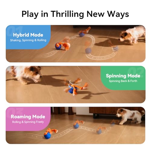 Smart Interactive Rolling Dog Ball Toy