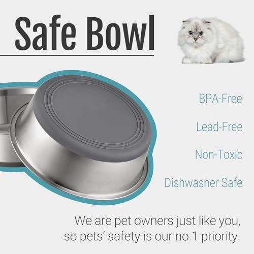 PEGYY11 Nonslip Stainless Steel Dog Cat Bowls, 2 Count