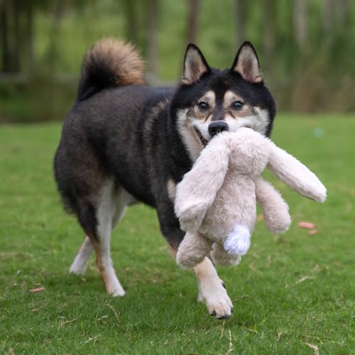 Interactive Squeaky Dog Toy for Active Chewers