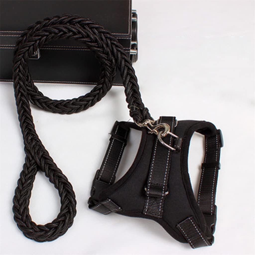 Adjustable Dog Harness and Leash Set