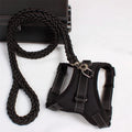 Adjustable Dog Harness and Leash Set