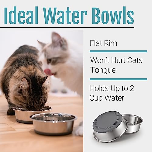 PEGYY11 Nonslip Stainless Steel Dog Cat Bowls, 2 Count