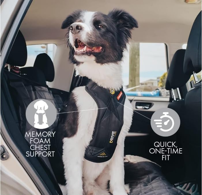 Crash Tested Dog Car Harness for Travel