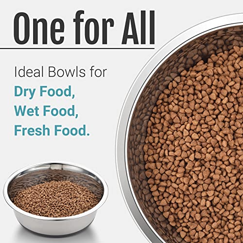 PEGYY11 Nonslip Stainless Steel Dog Cat Bowls, 2 Count