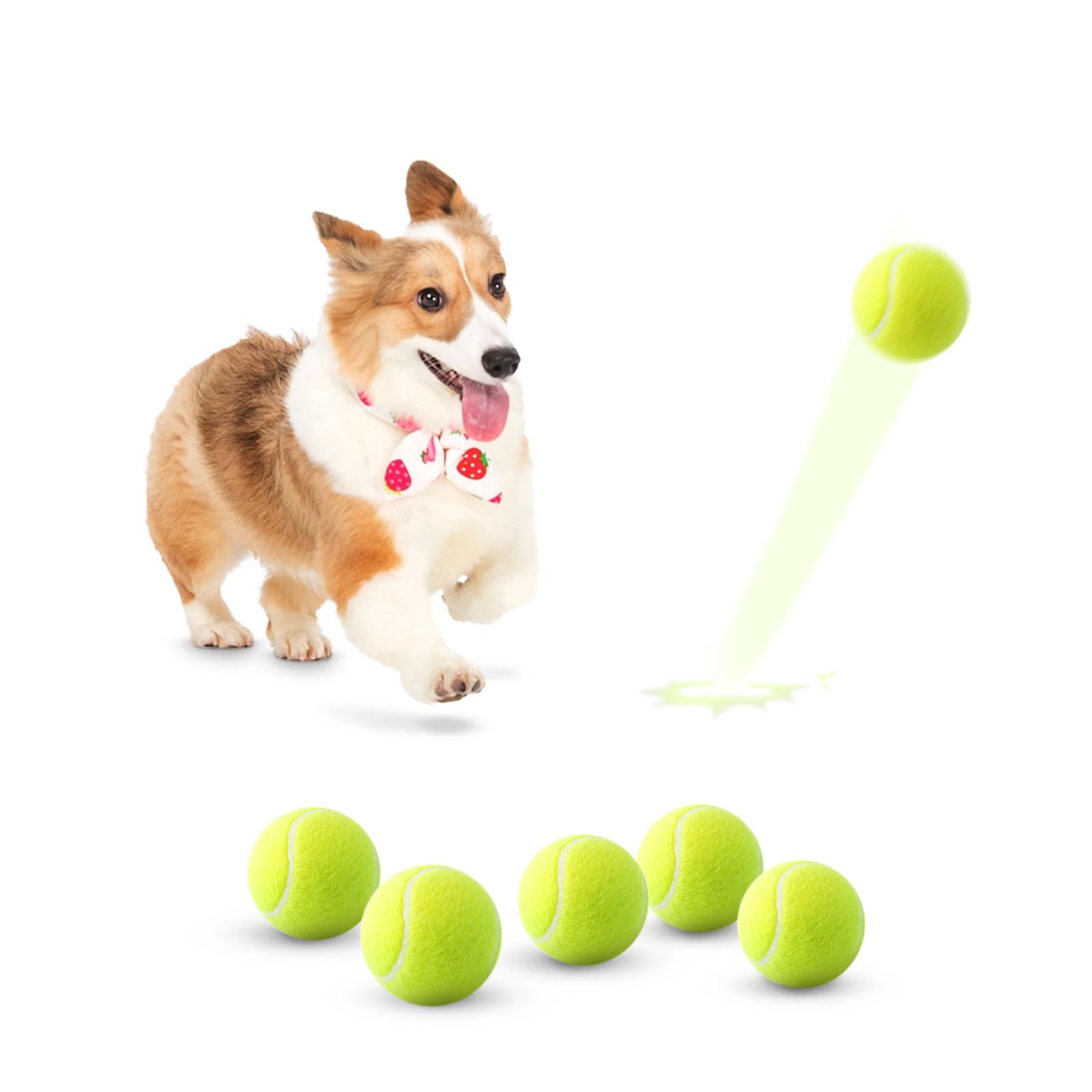 Automatic Dog Ball Launcher with Adjustable Range