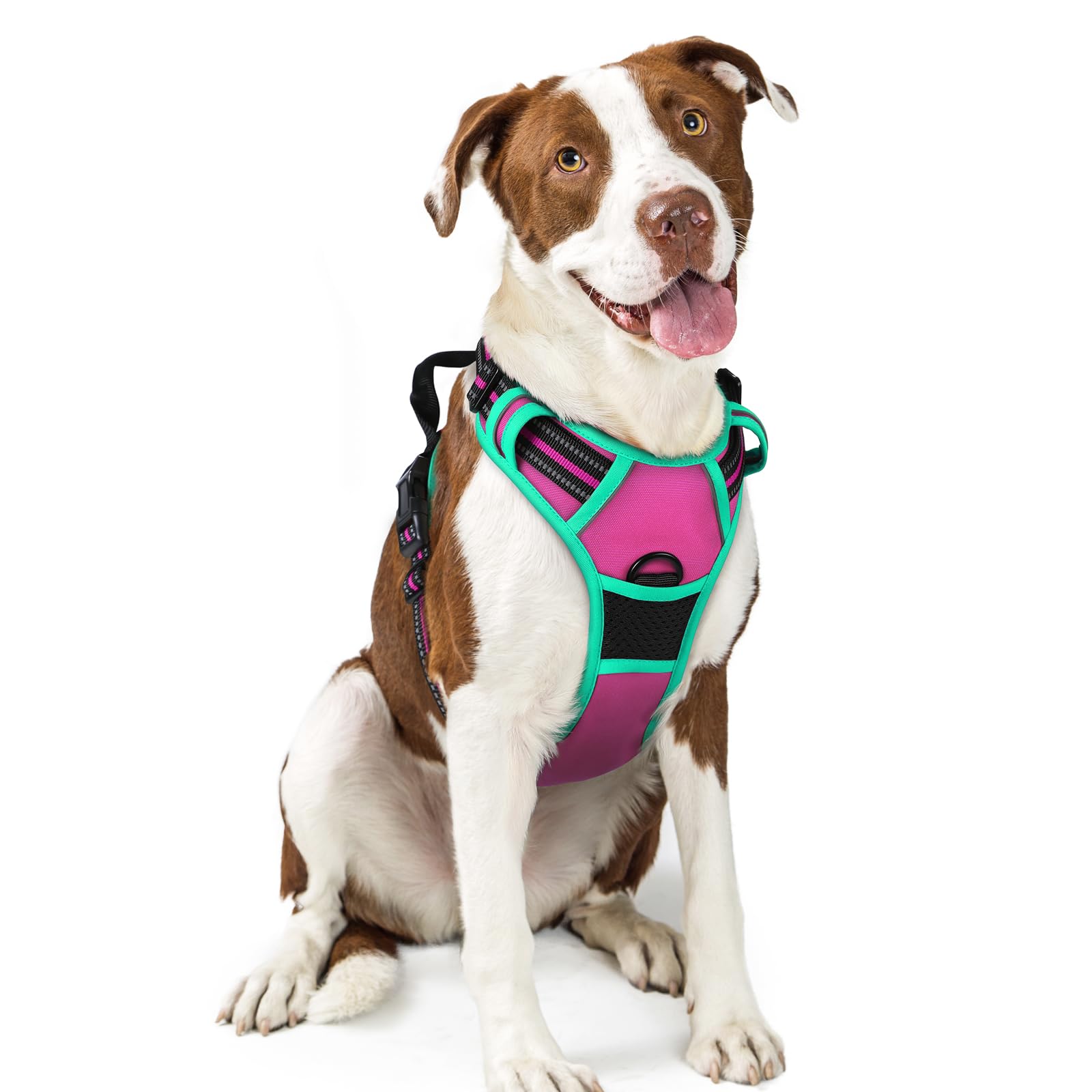 Reflective No Pull Dog Harness with Handle