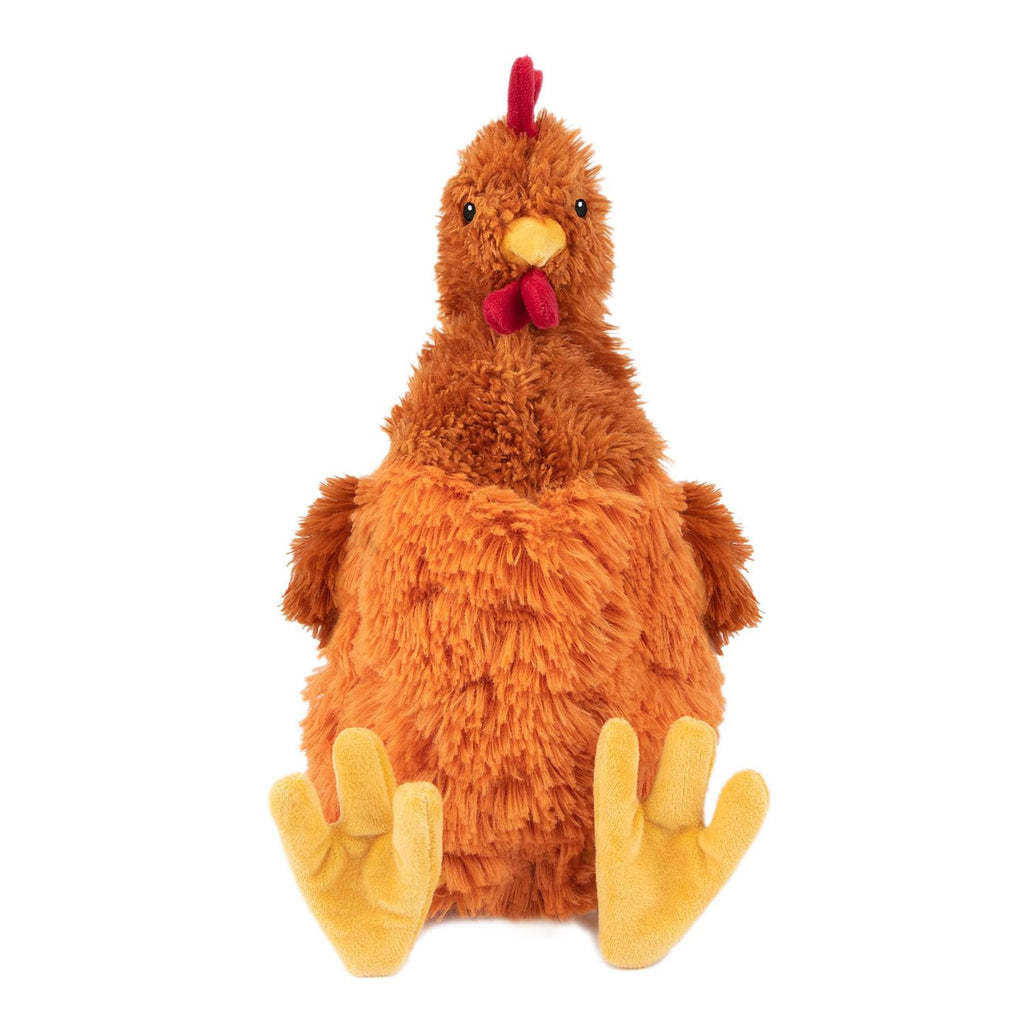 Interactive Squeaky Dog Toy for Active Chewers