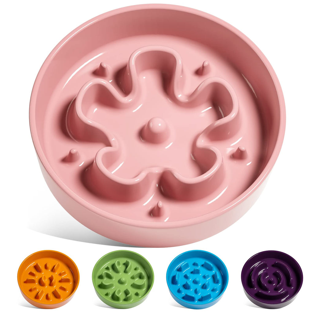 LE TAUCI Dog Bowls Slow Feeder Ceramic