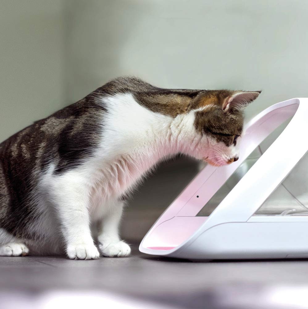 SureFeed Microchip Pet Feeder