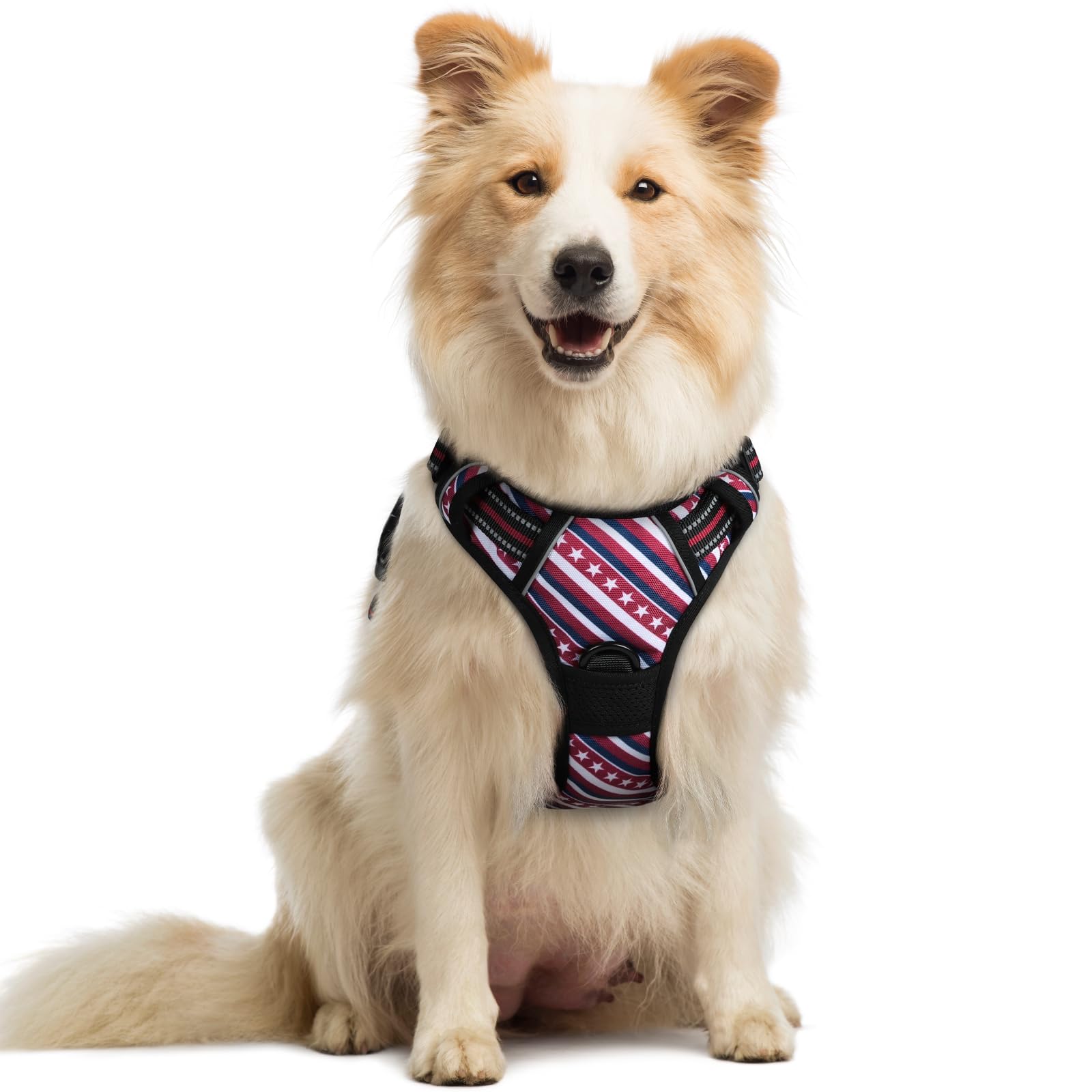 Reflective No Pull Dog Harness with Handle