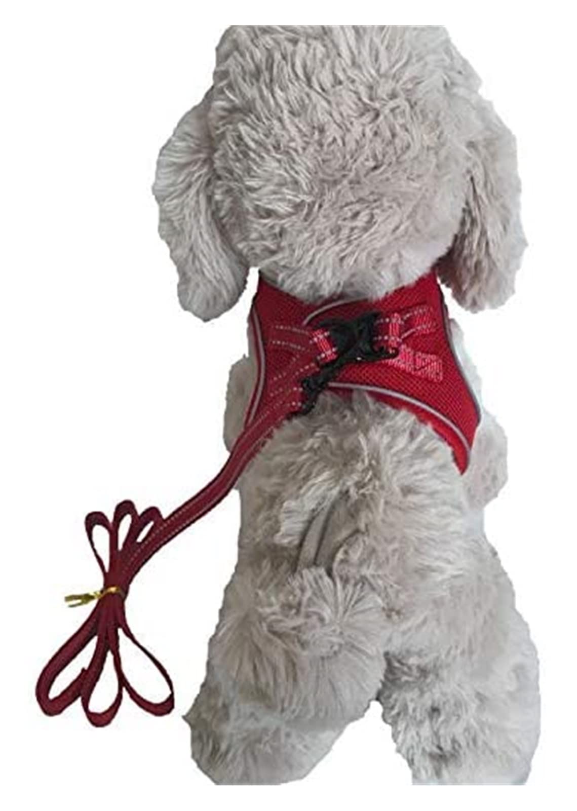 Reflective Breathable Dog Harness and Leash