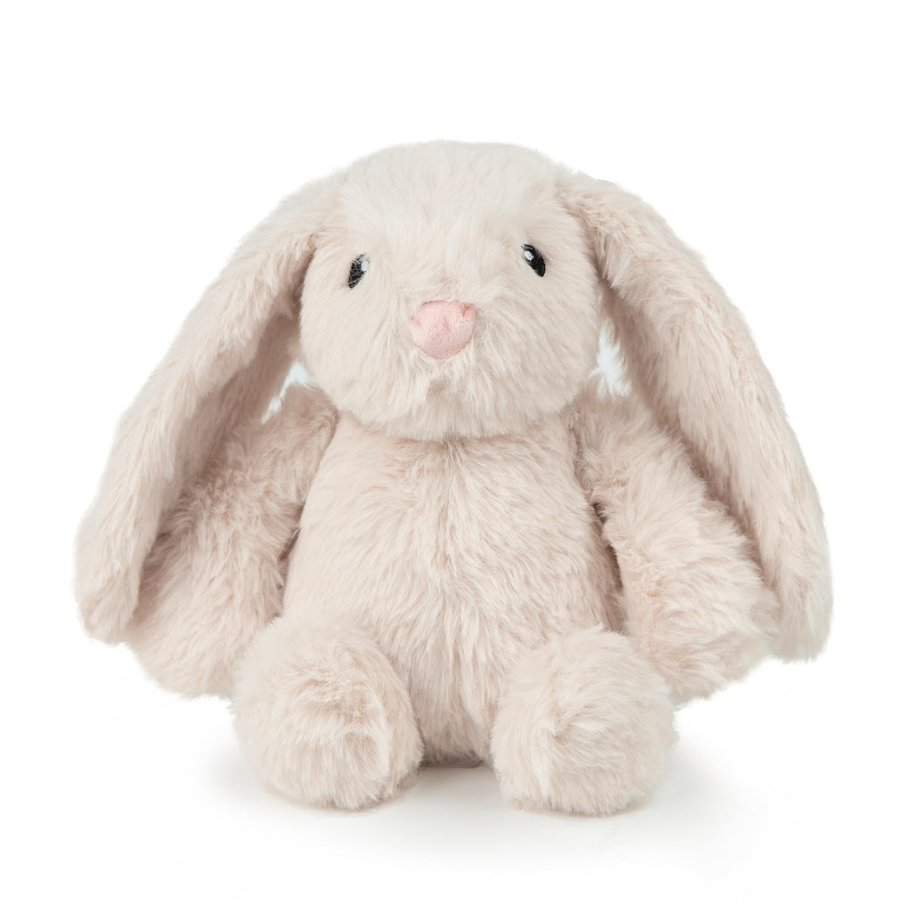 Interactive Squeaky Dog Toy for Active Chewers