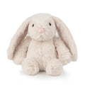Interactive Squeaky Dog Toy for Active Chewers