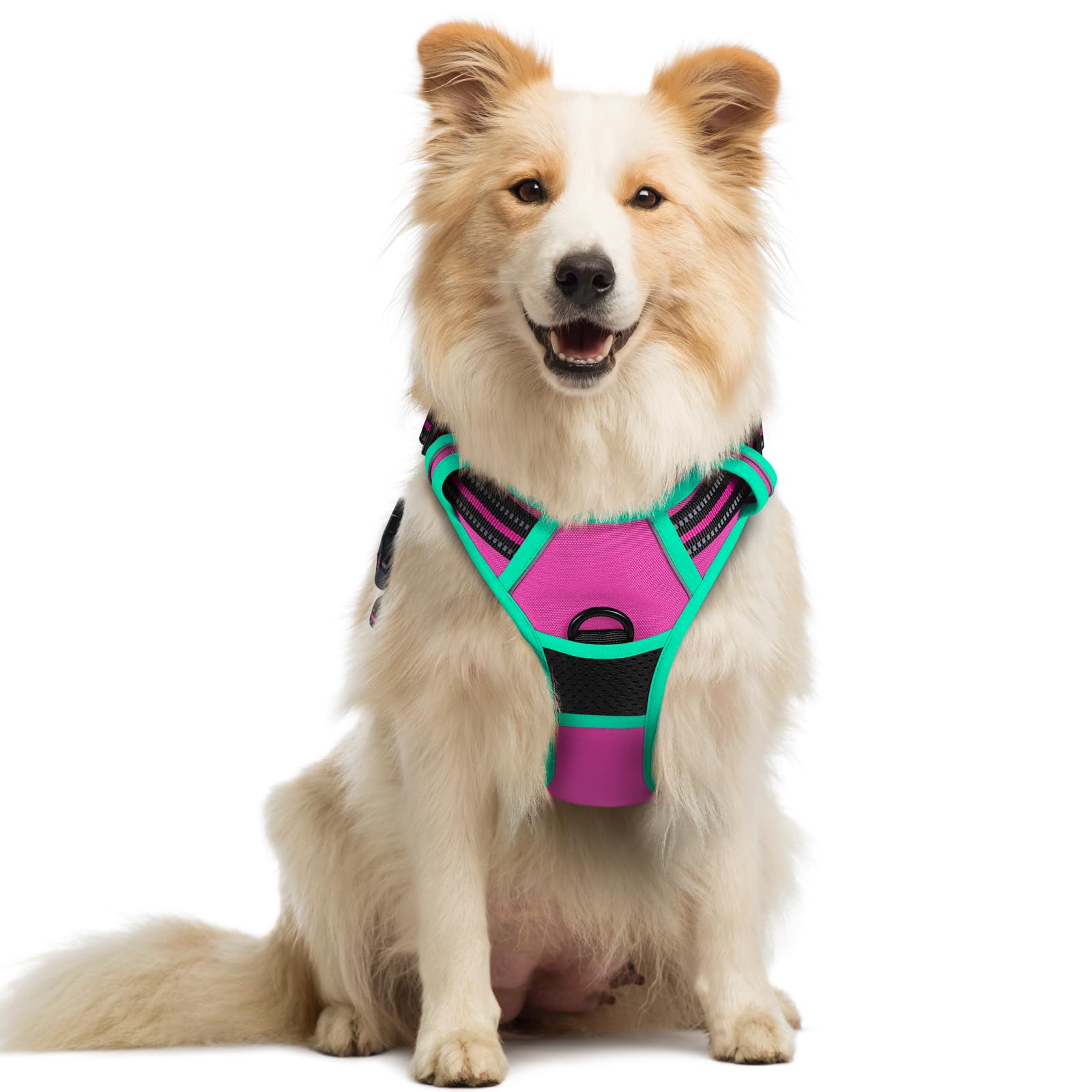 Reflective No Pull Dog Harness with Handle