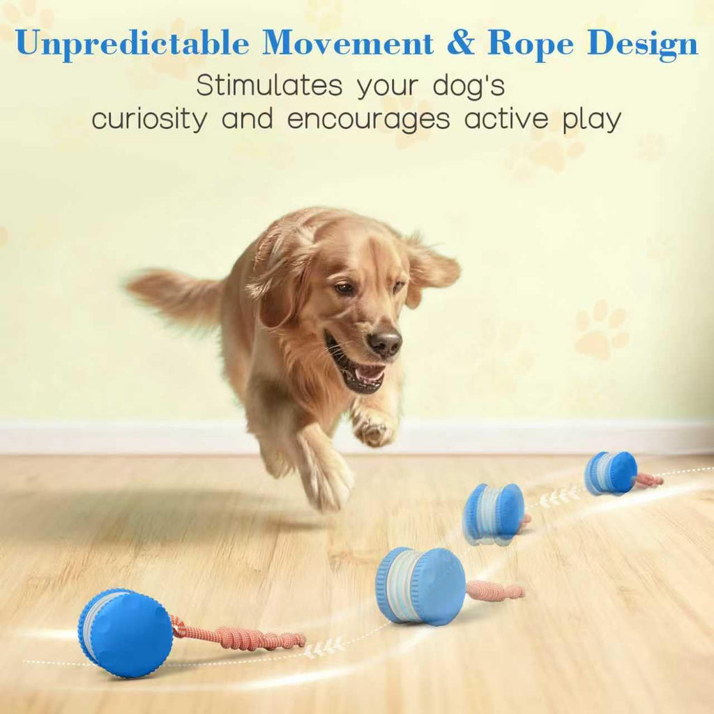 Interactive Rolling Dog Ball for Active Play