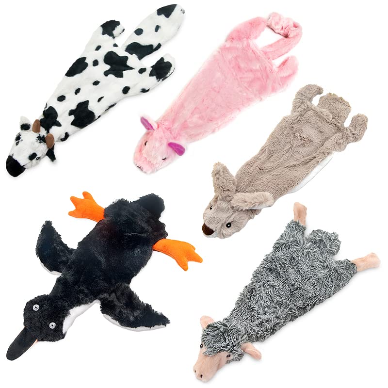 Interactive Squeaky Dog Toy for Active Chewers