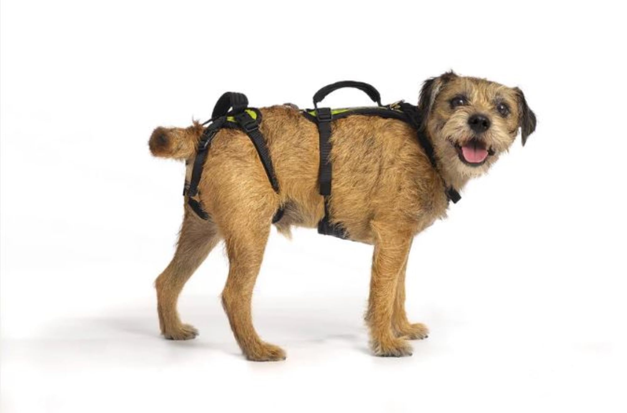 Adjustable Full Body Support Harness for Dogs