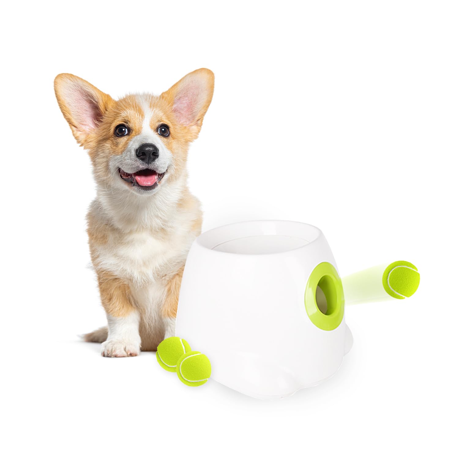 Automatic Dog Ball Launcher with Tennis Balls
