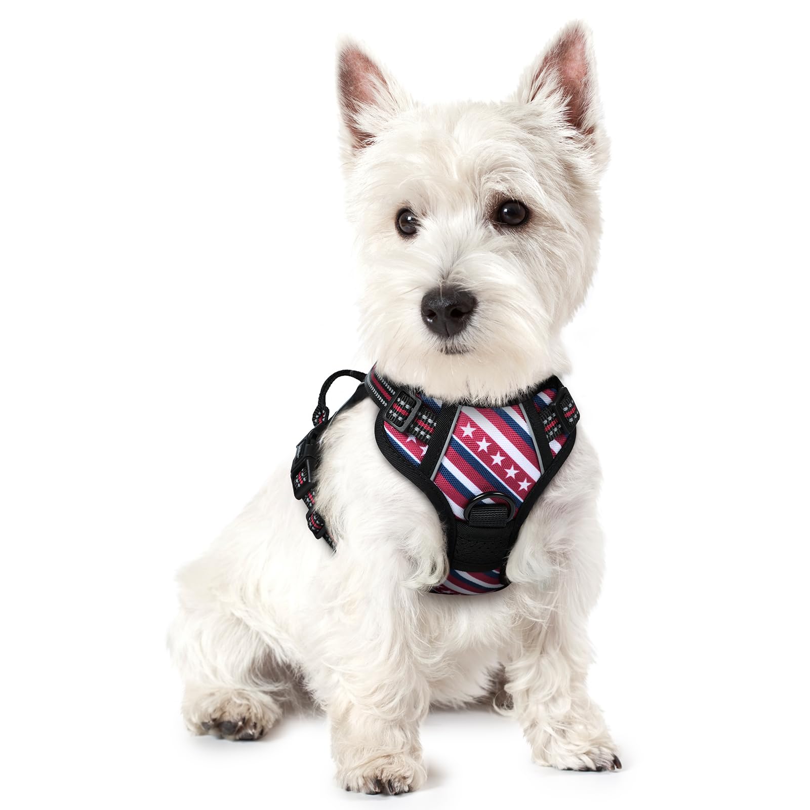 Reflective No Pull Dog Harness with Handle