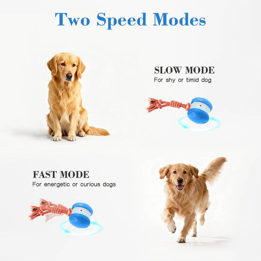 Interactive Rolling Dog Ball for Active Play
