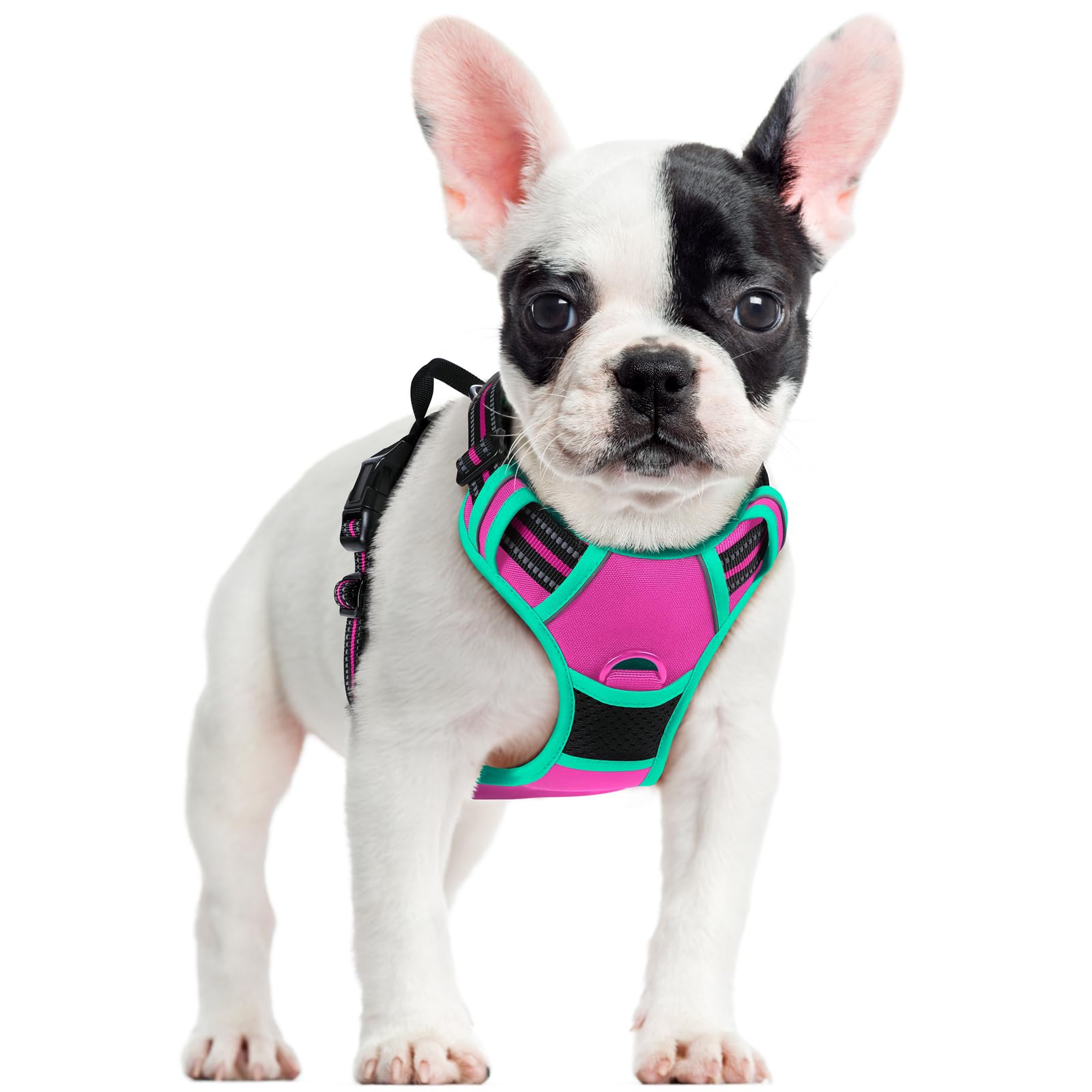 Reflective No Pull Dog Harness with Handle