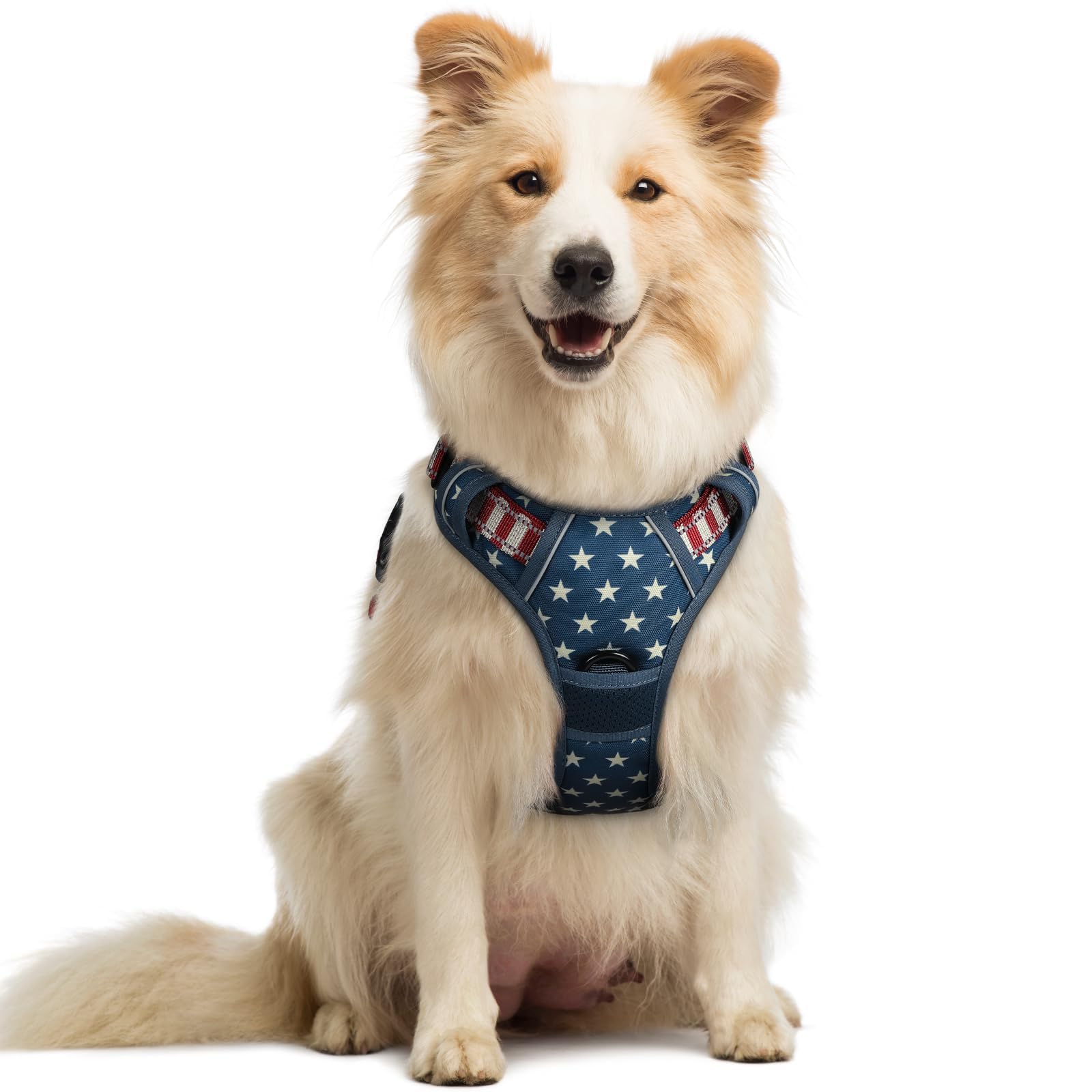Reflective No Pull Dog Harness with Handle