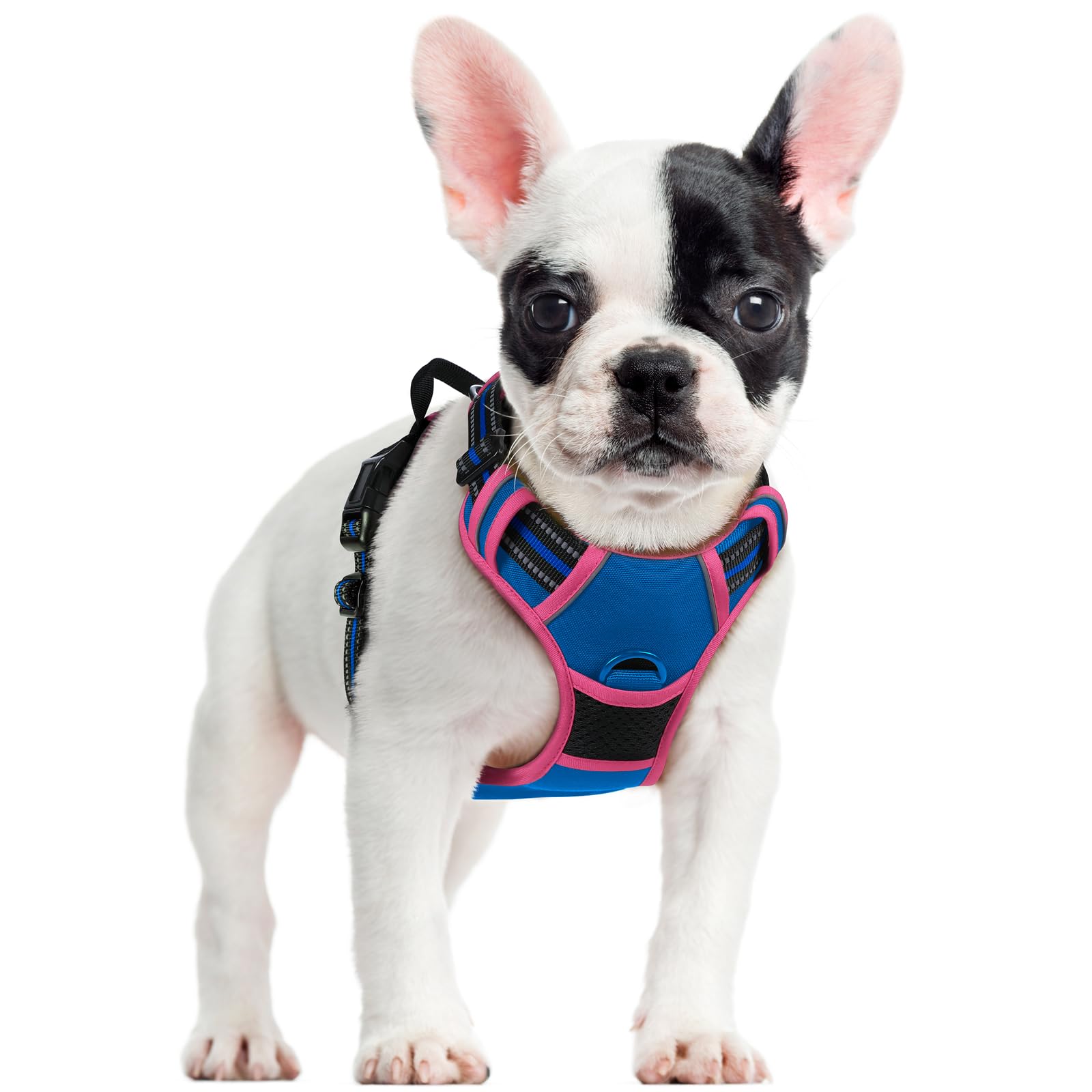 Reflective No Pull Dog Harness with Handle