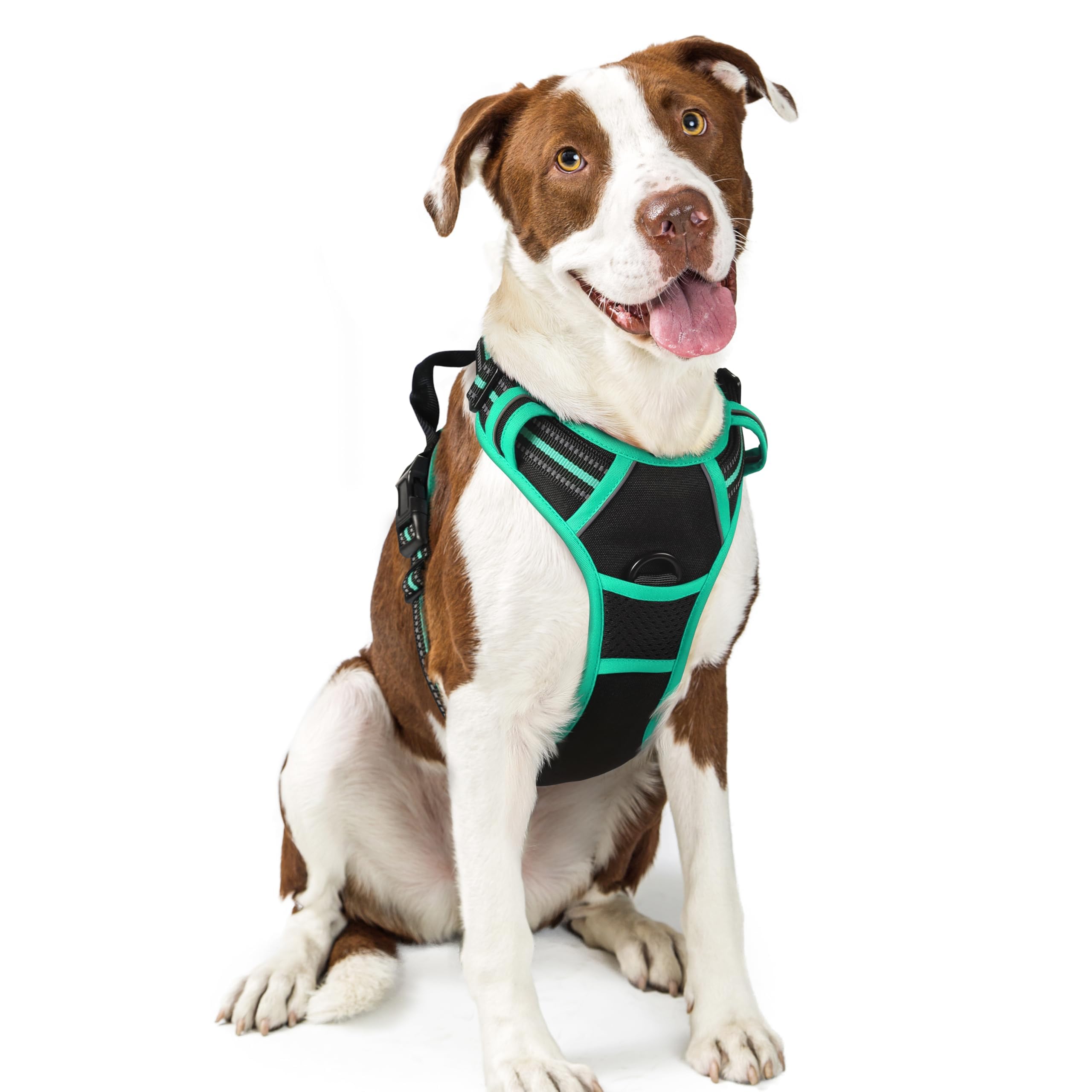 Reflective No Pull Dog Harness with Handle