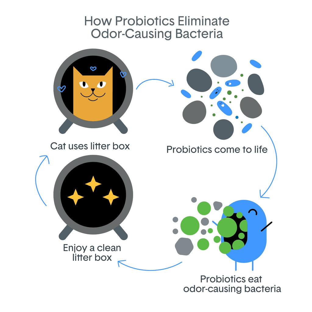 Boxie PRO and GLO Premium Clumping Litter