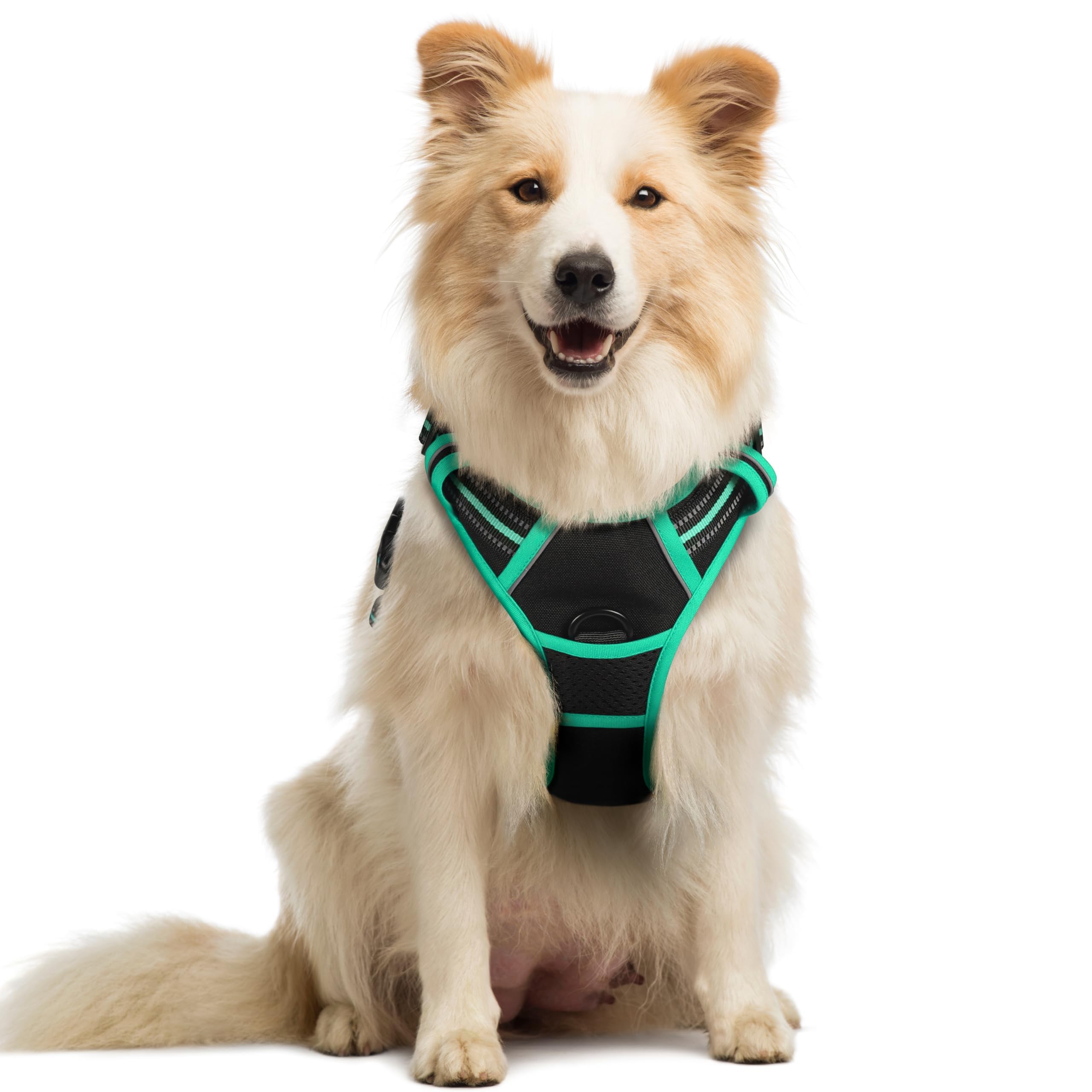 Reflective No Pull Dog Harness with Handle