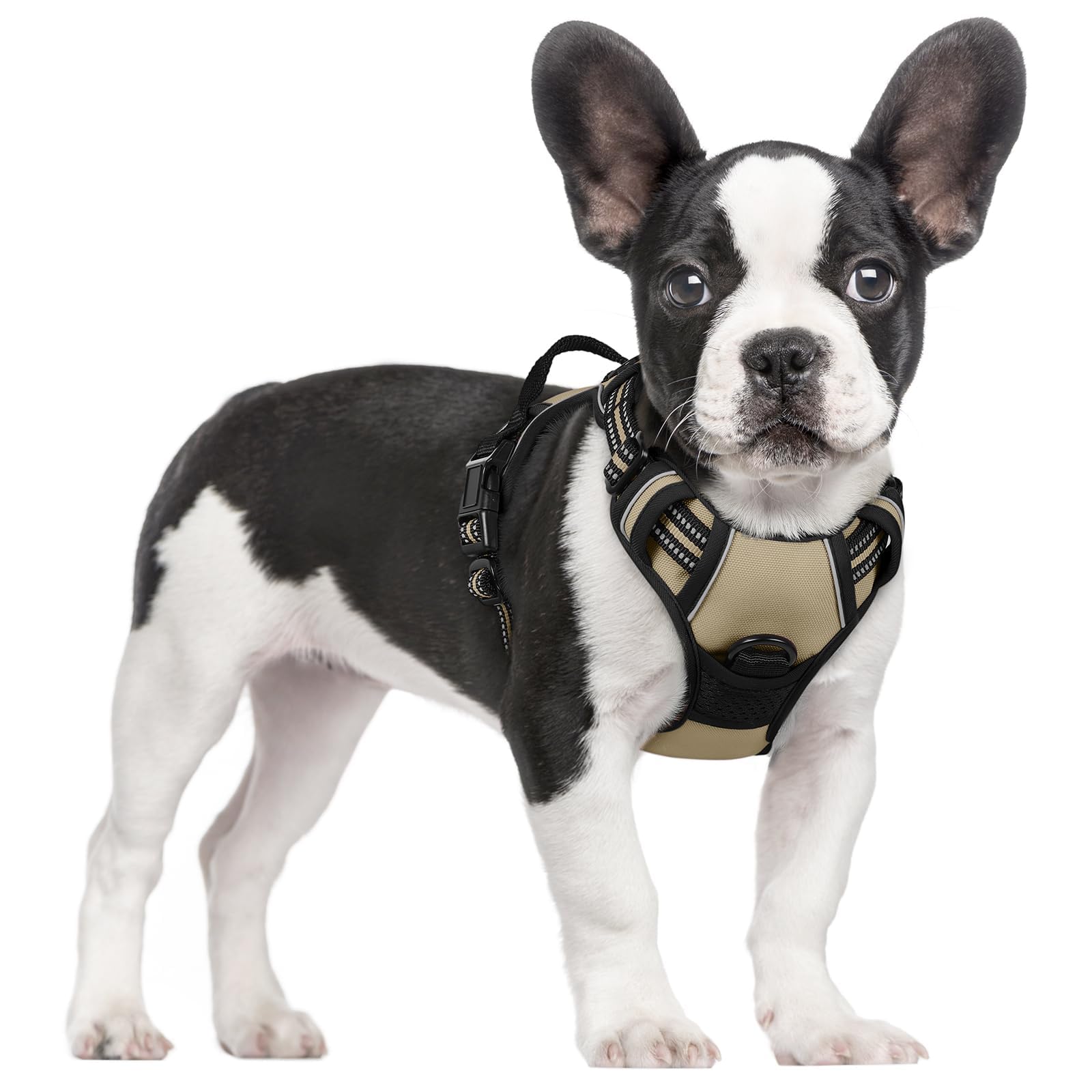 Reflective No Pull Dog Harness with Handle