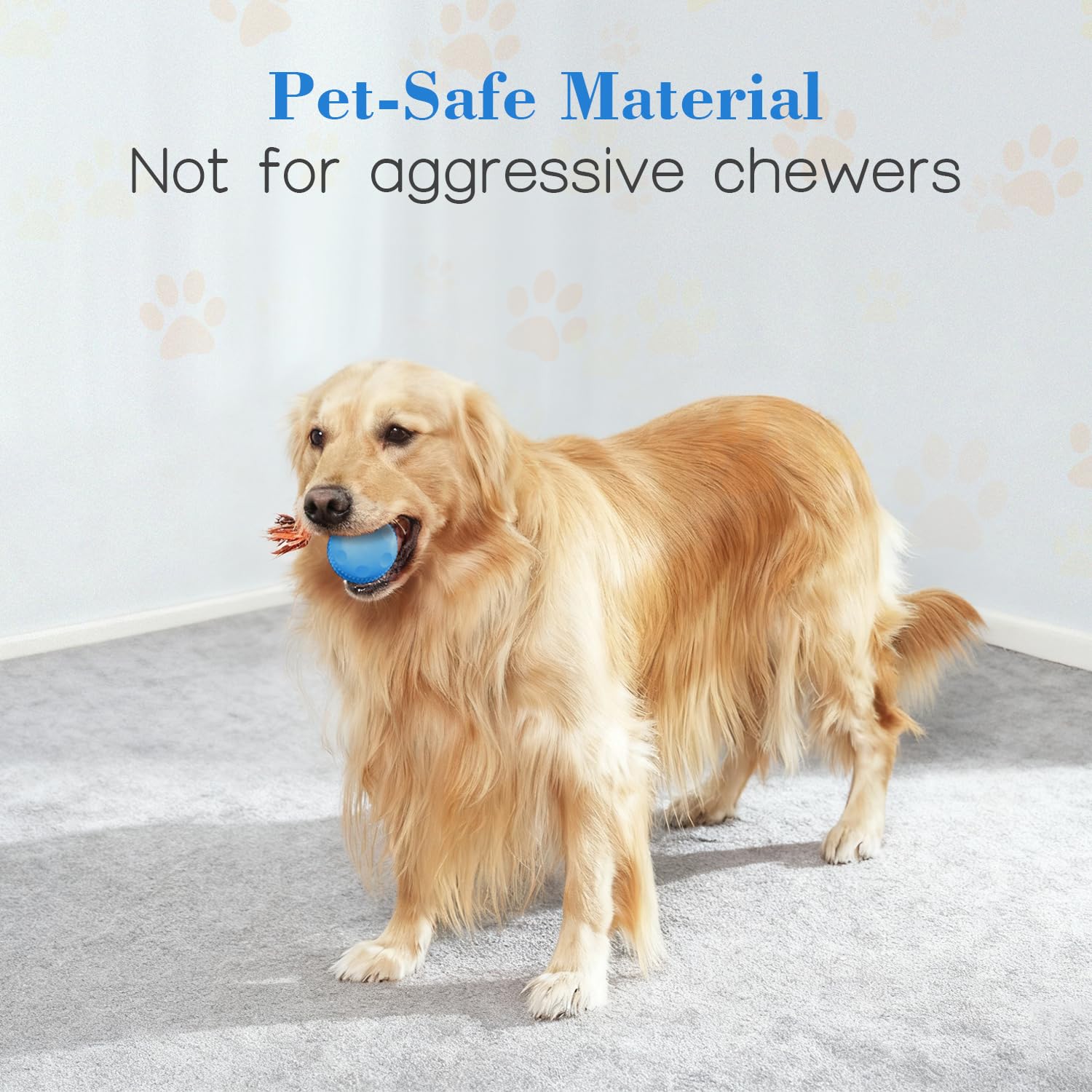 Interactive Rolling Dog Ball for Active Play