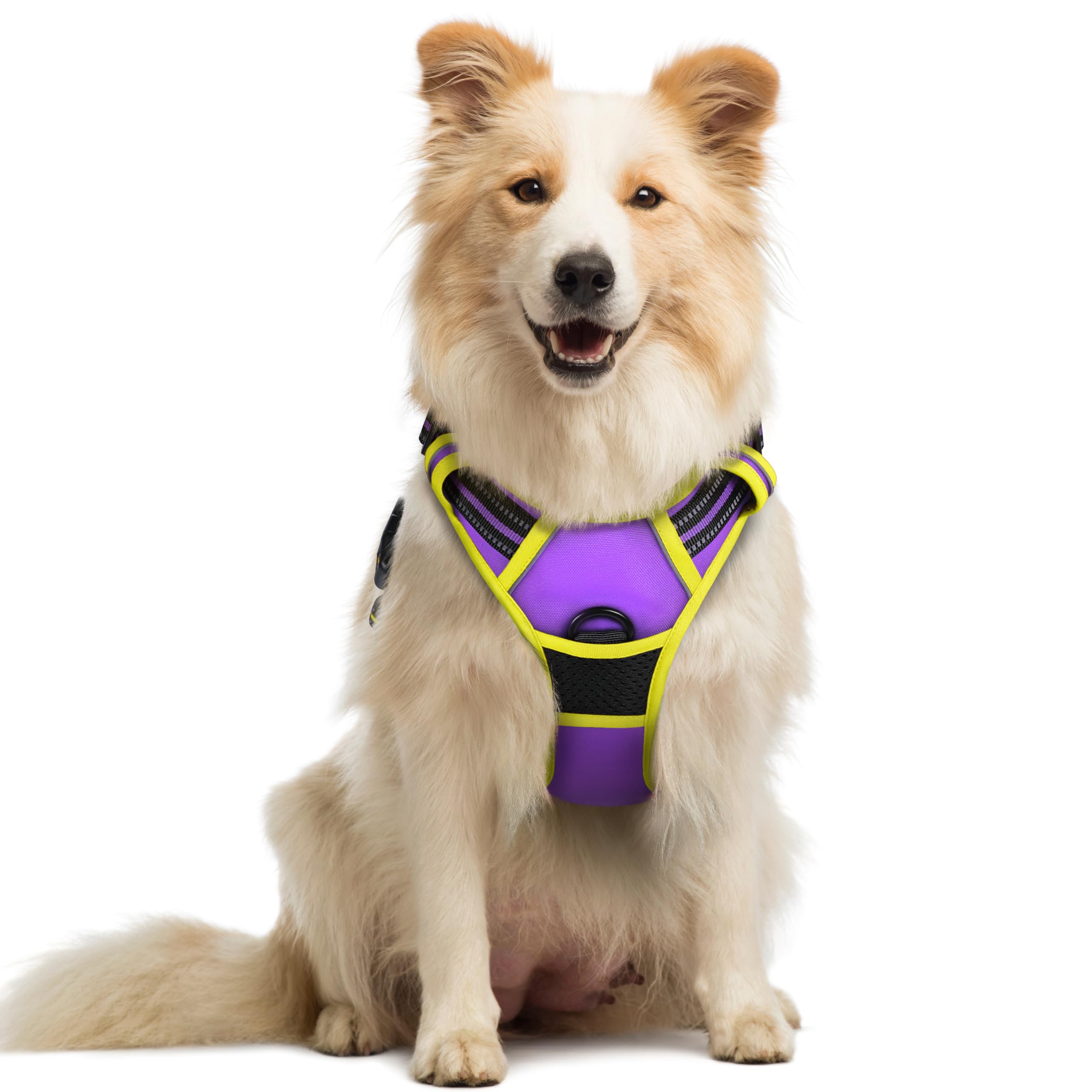 Reflective No Pull Dog Harness with Handle