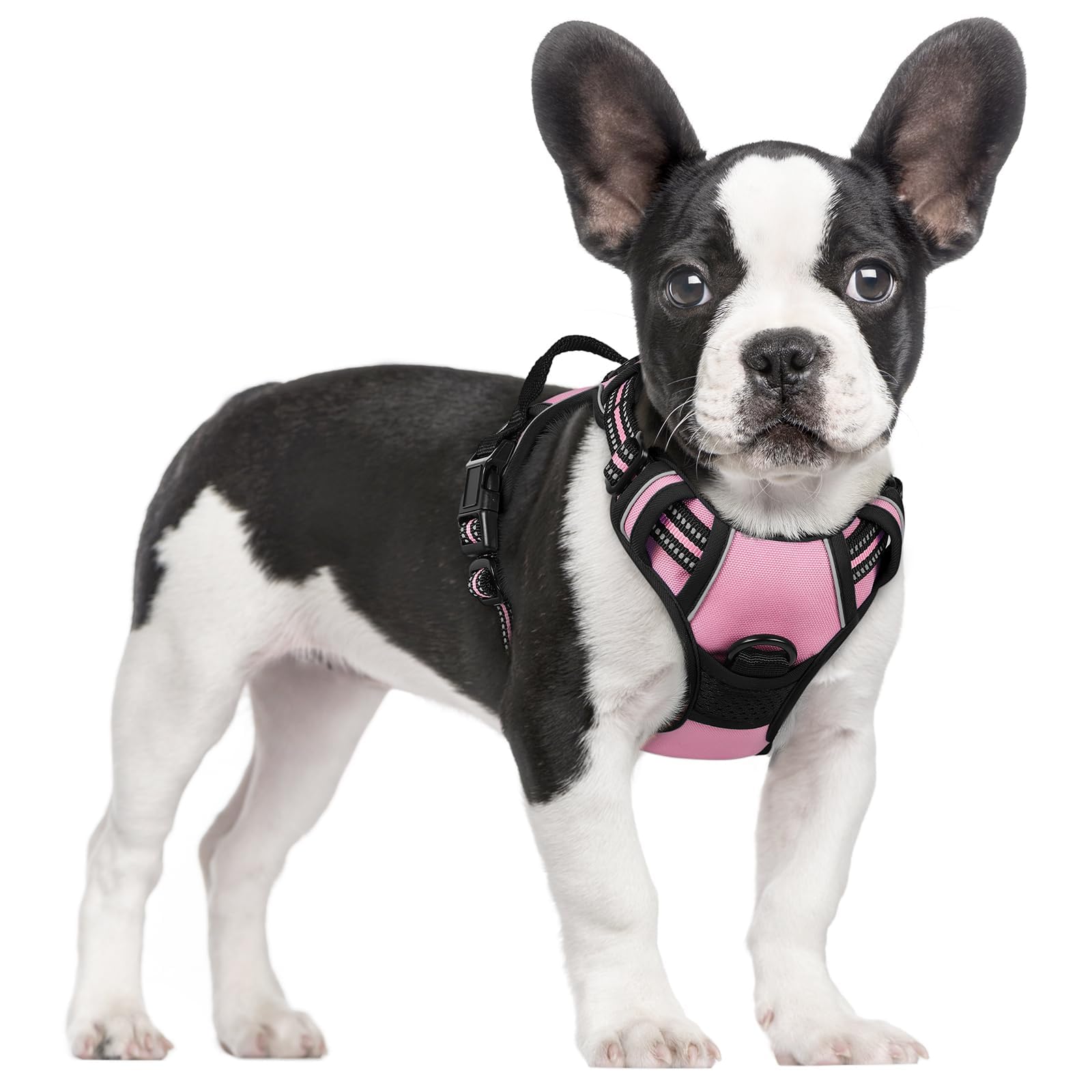 Reflective No Pull Dog Harness with Handle