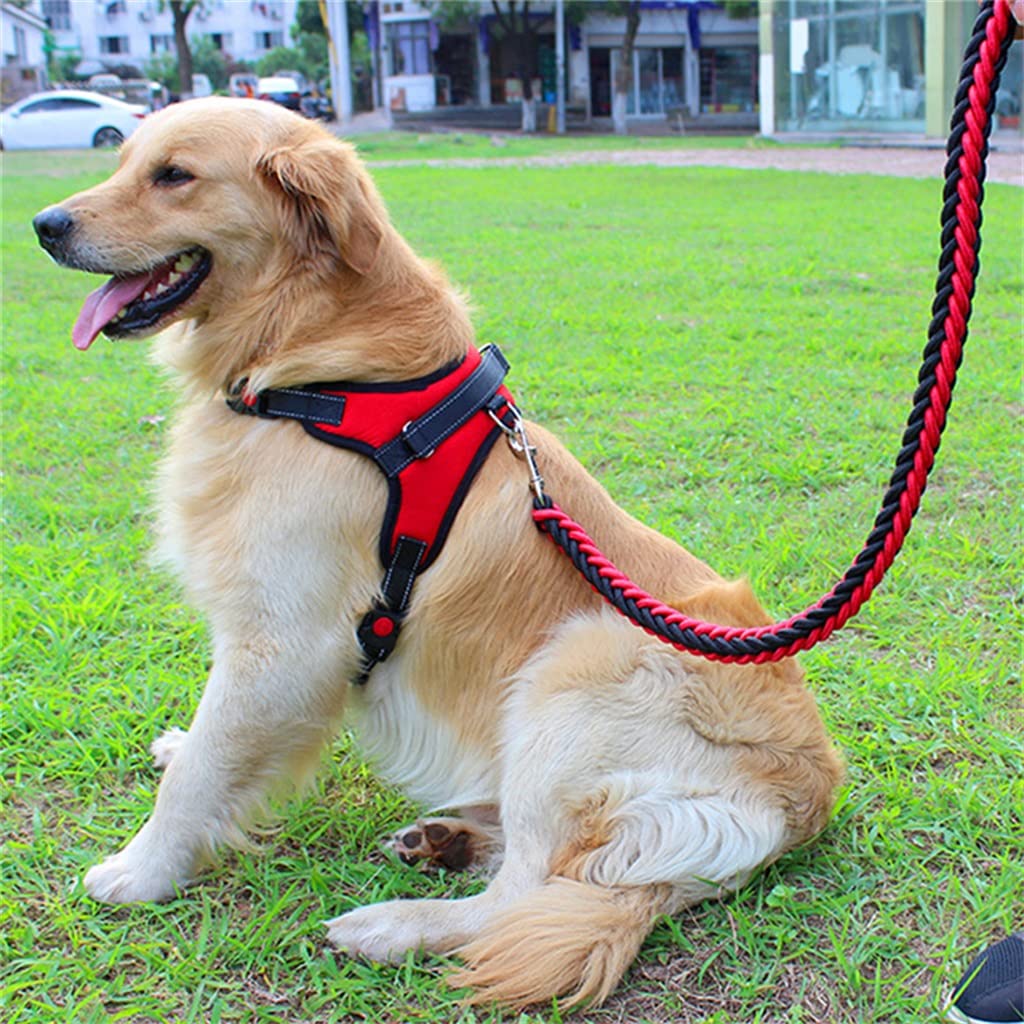Adjustable Dog Harness and Leash Set