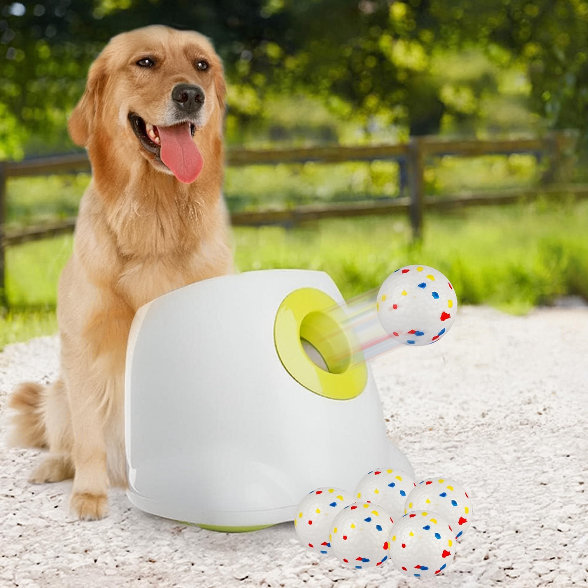 Automatic Dog Ball Launcher with Tennis Balls