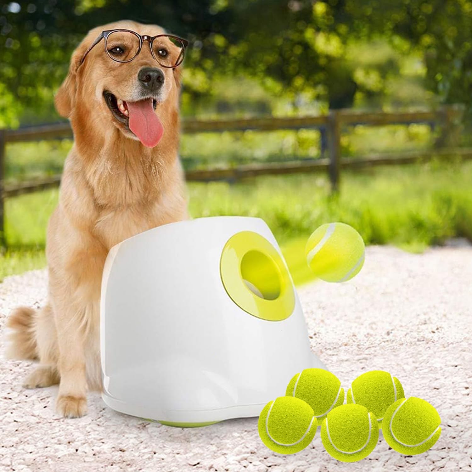 Automatic Dog Ball Launcher with Tennis Balls