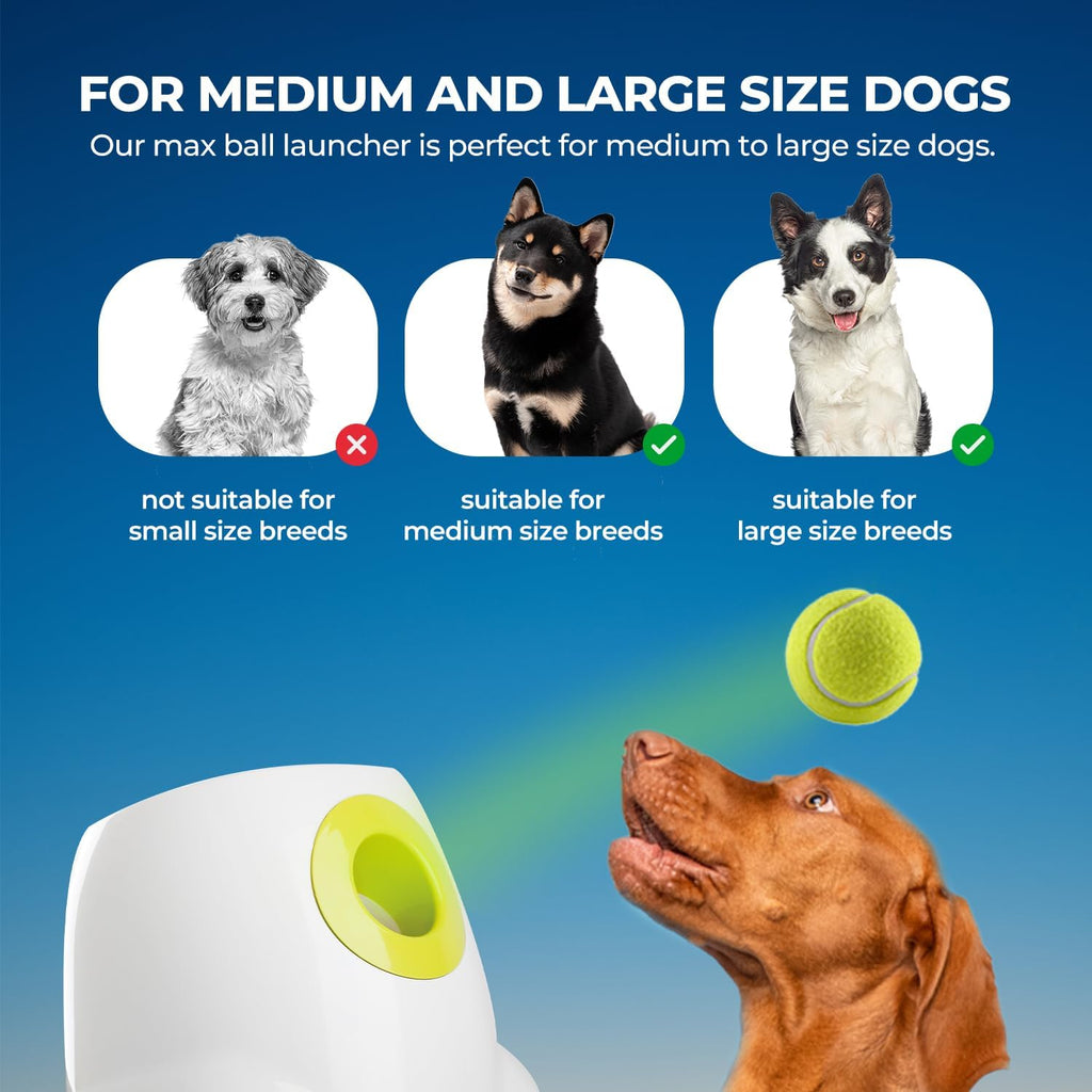 Automatic Dog Ball Launcher with Tennis Balls