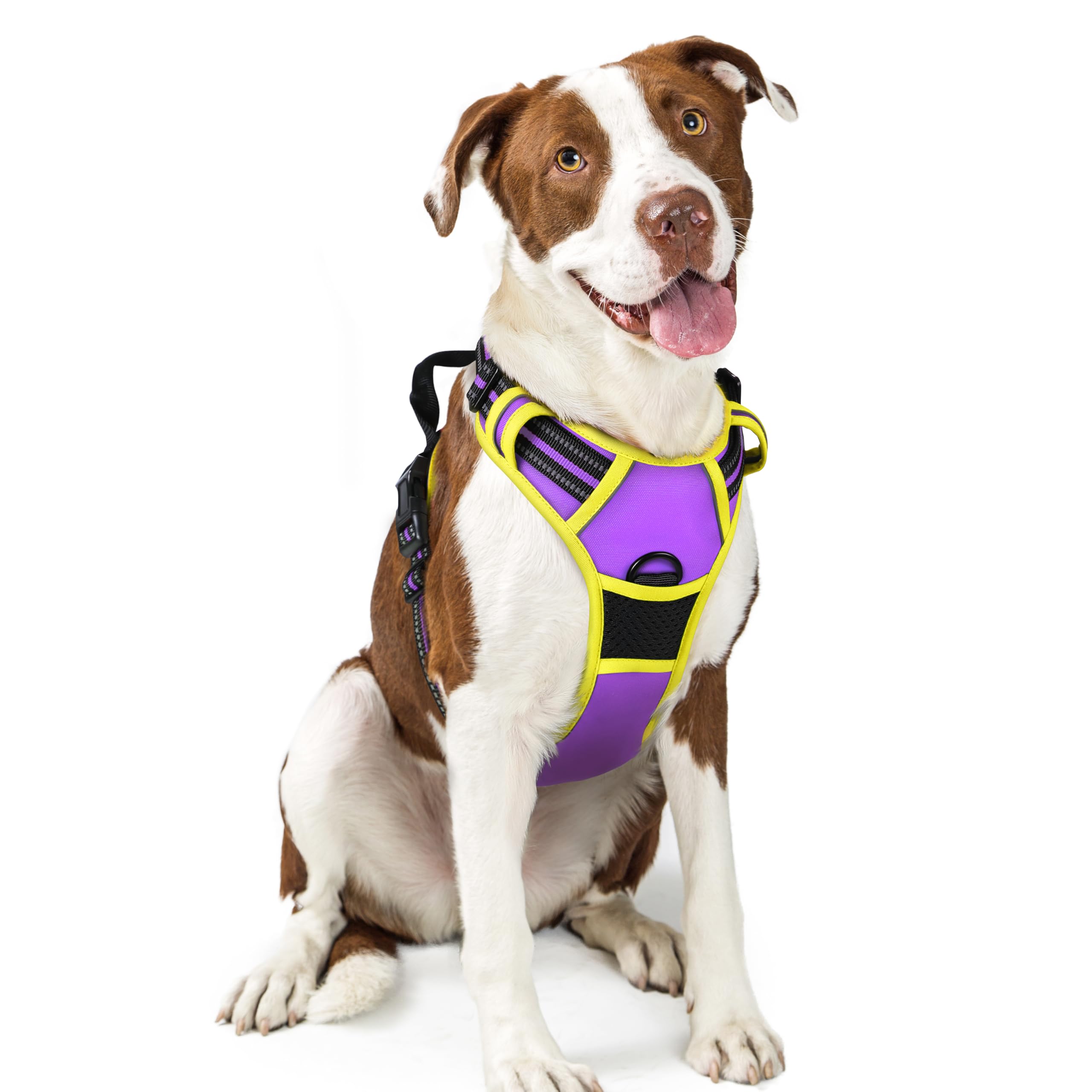 Reflective No Pull Dog Harness with Handle