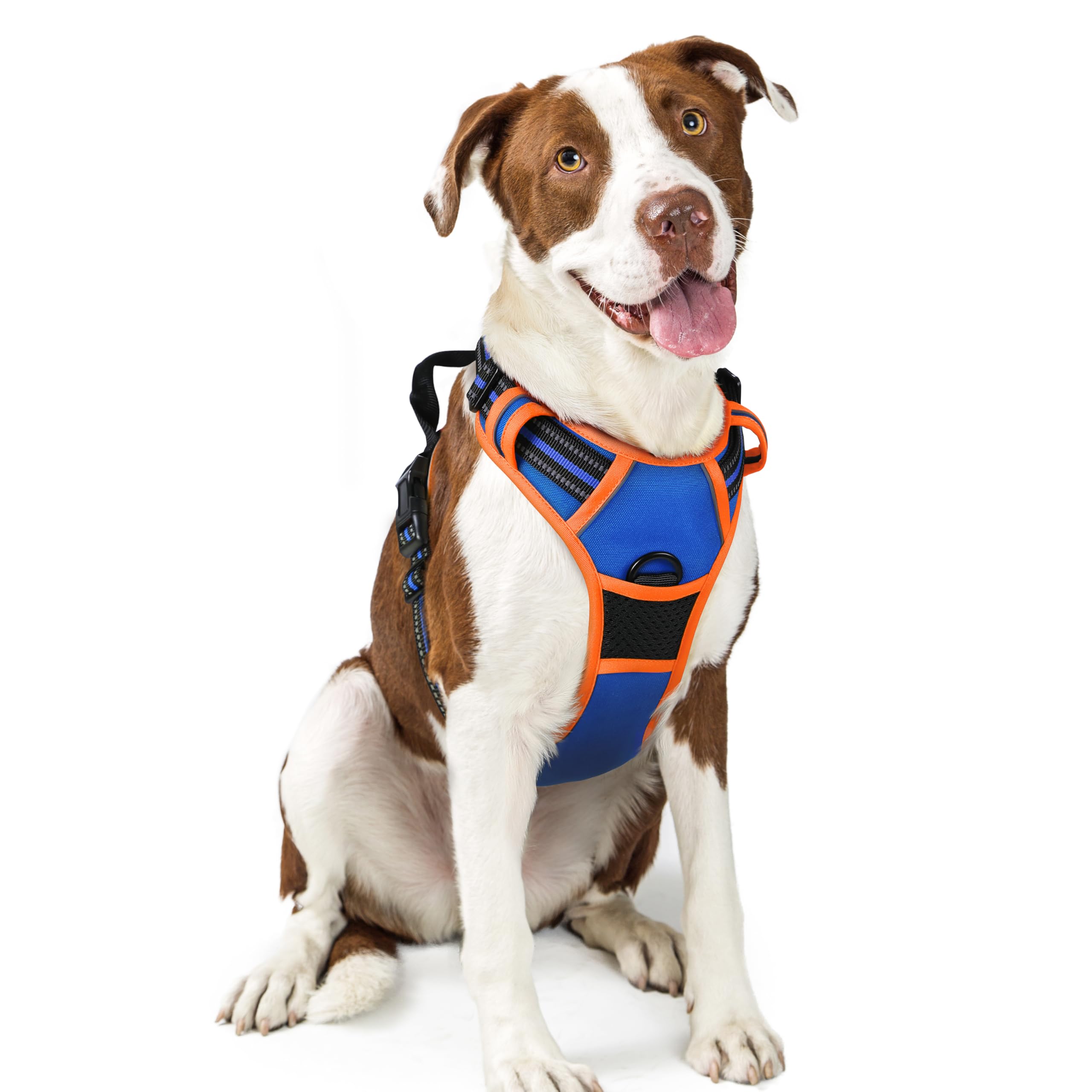 Reflective No Pull Dog Harness with Handle