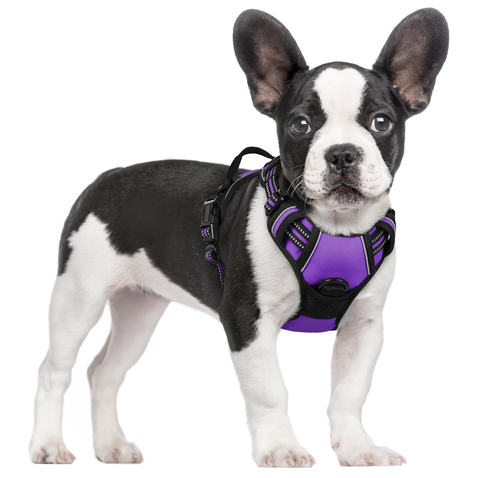 Reflective No Pull Dog Harness with Handle