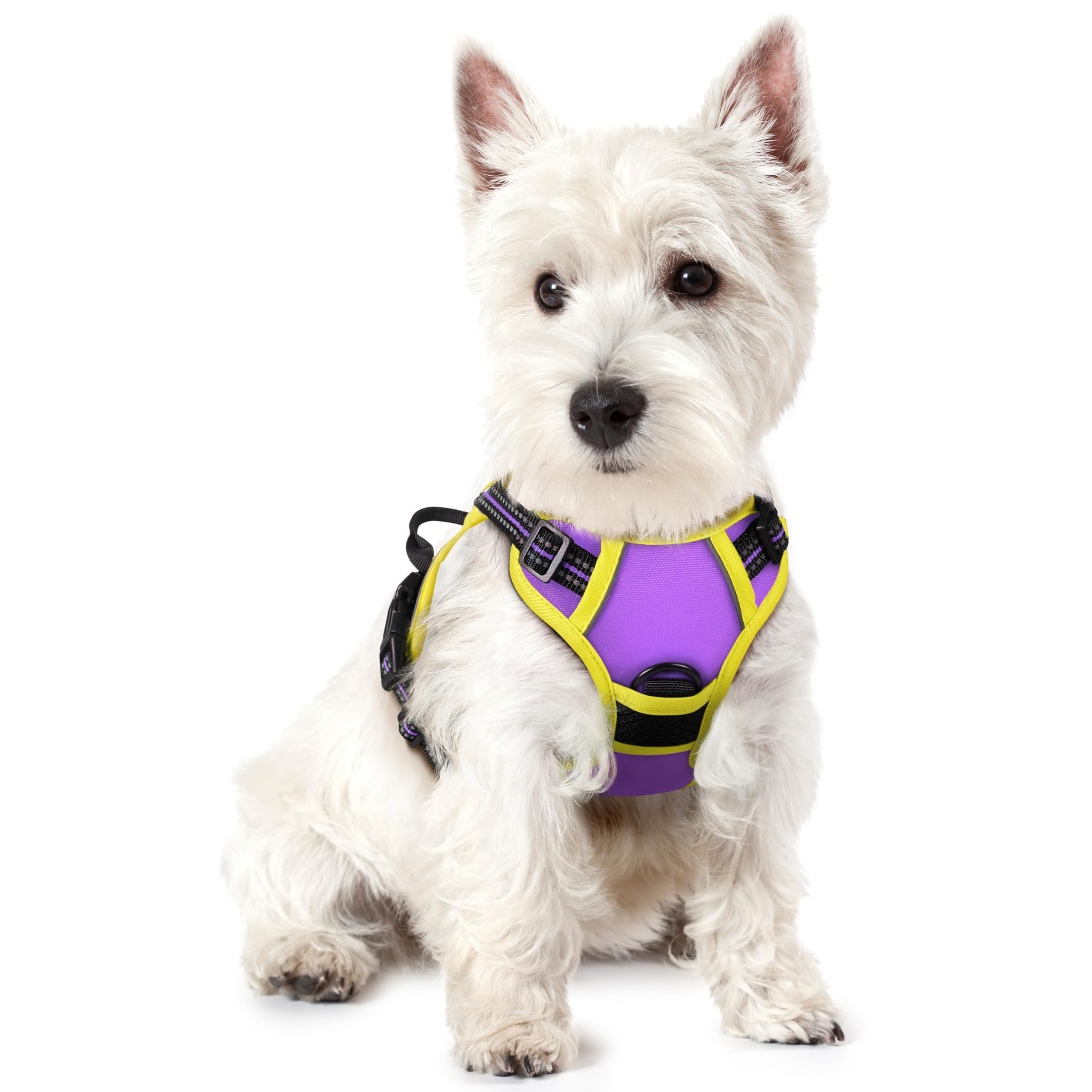 Reflective No Pull Dog Harness with Handle
