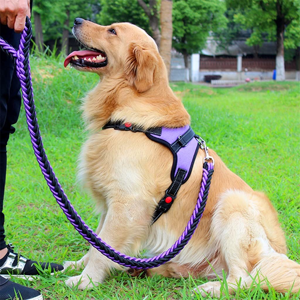 Adjustable Dog Harness and Leash Set