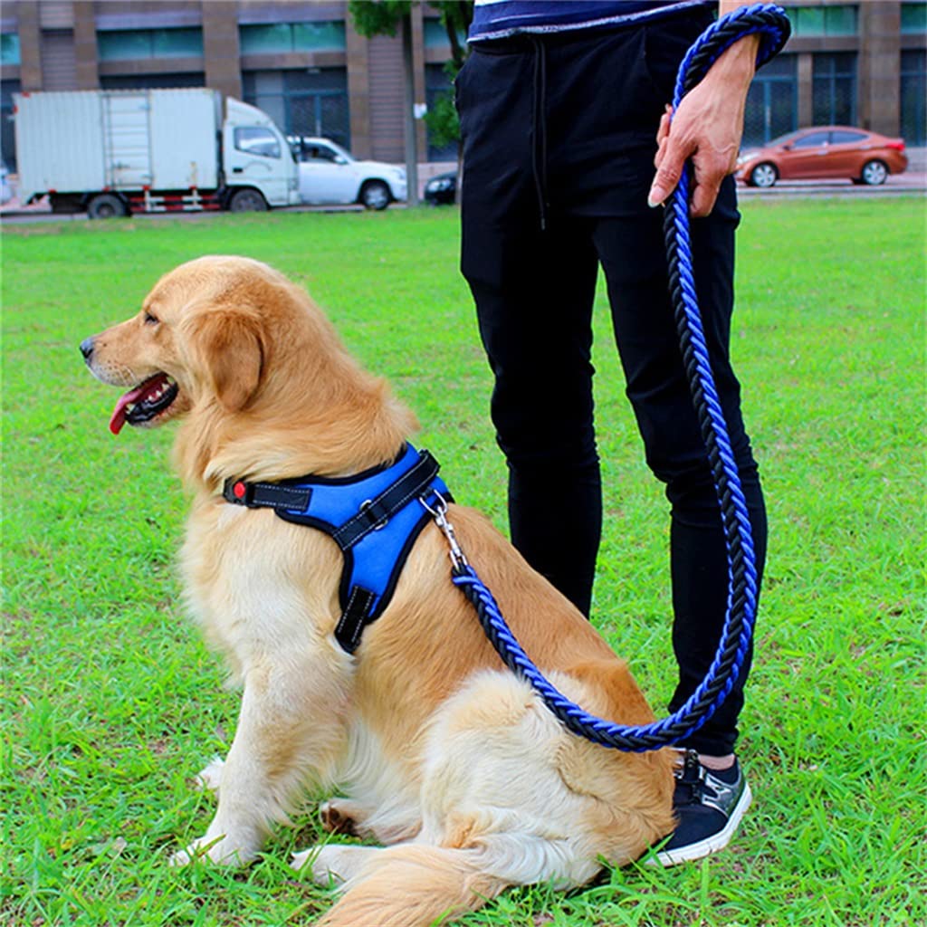 Adjustable Dog Harness and Leash Set
